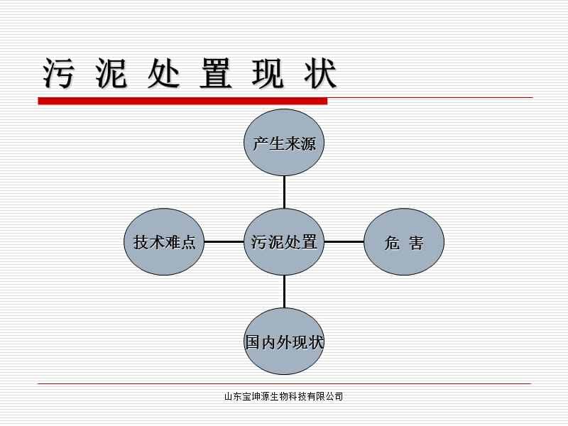 {项目管理项目报告}污泥处置项目讲义_第3页