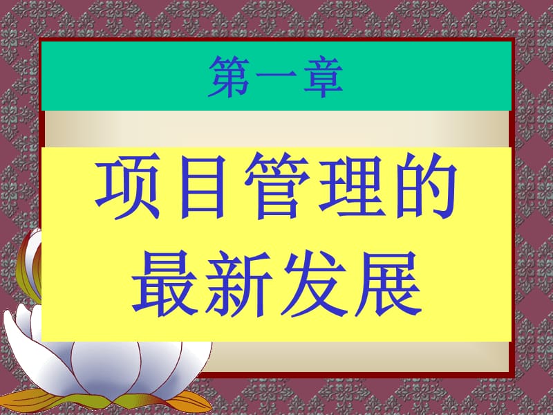 {项目管理项目报告}项目管理学PPT250页_第2页