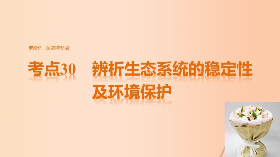 高考生物考前3个月专题复习专题9生物与环境考点30辨析生态系统的稳定性及环境保护课件_第1页