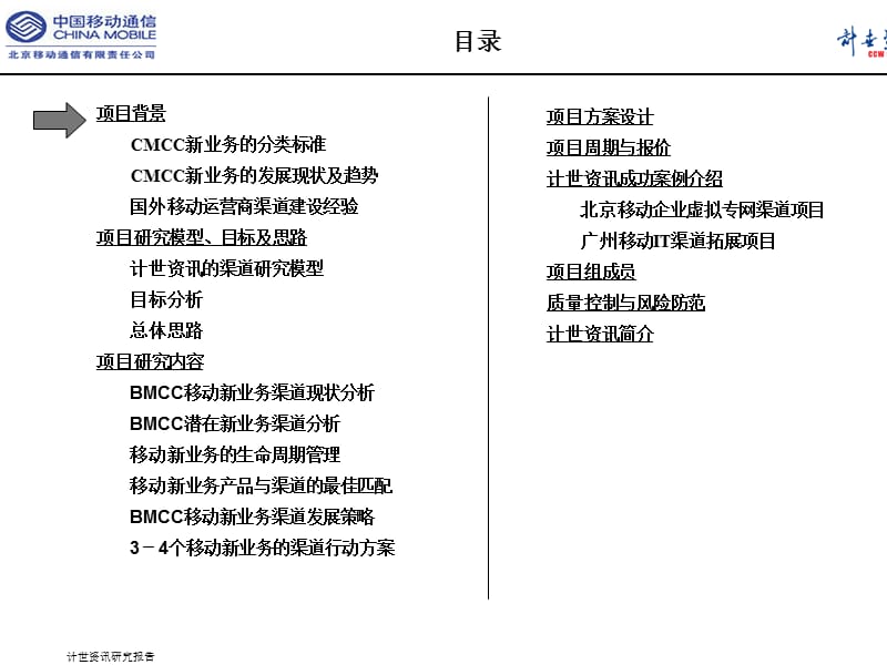 {项目管理项目报告}移动新业务渠道咨询研究项目建议书范本_第2页