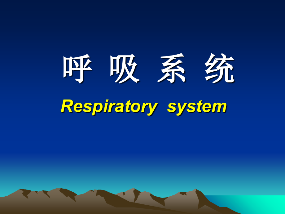 用呼吸系统课件_第1页