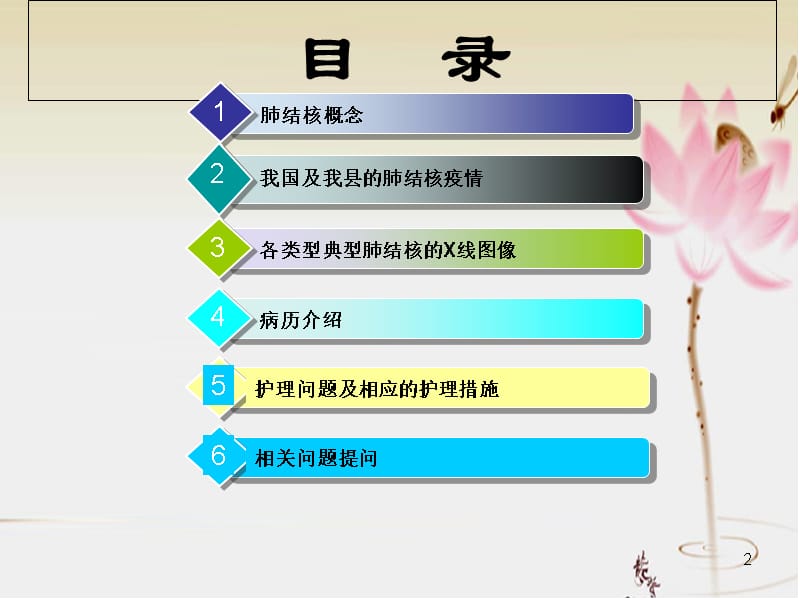 肺结核护理查房课件2幻灯片资料_第2页