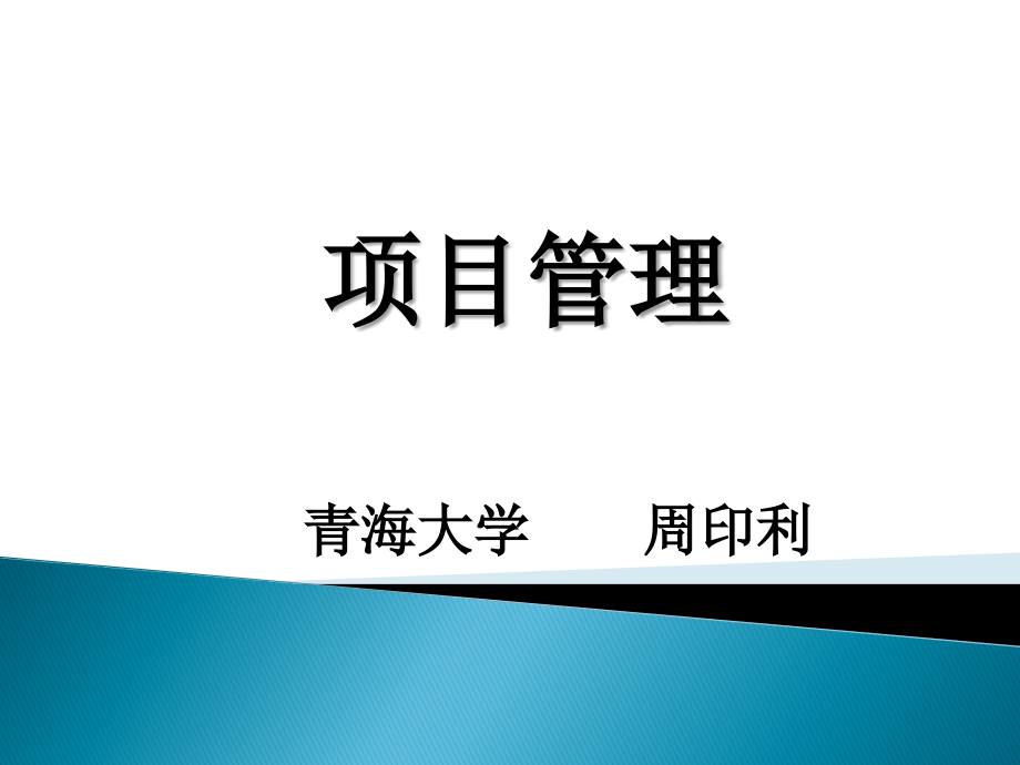 {项目管理项目报告}项目与项目管理PPT116页_第1页