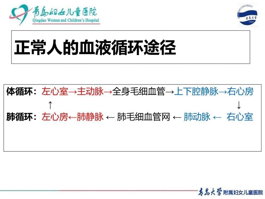 非紫绀型先天性心脏病教学教案_第5页