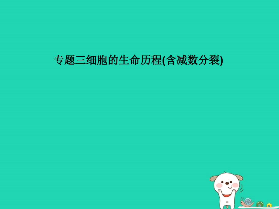 高考生物二轮复习第一单元生命系统的细胞基础专题三细胞的生命历程（含减数分裂）课件_第1页