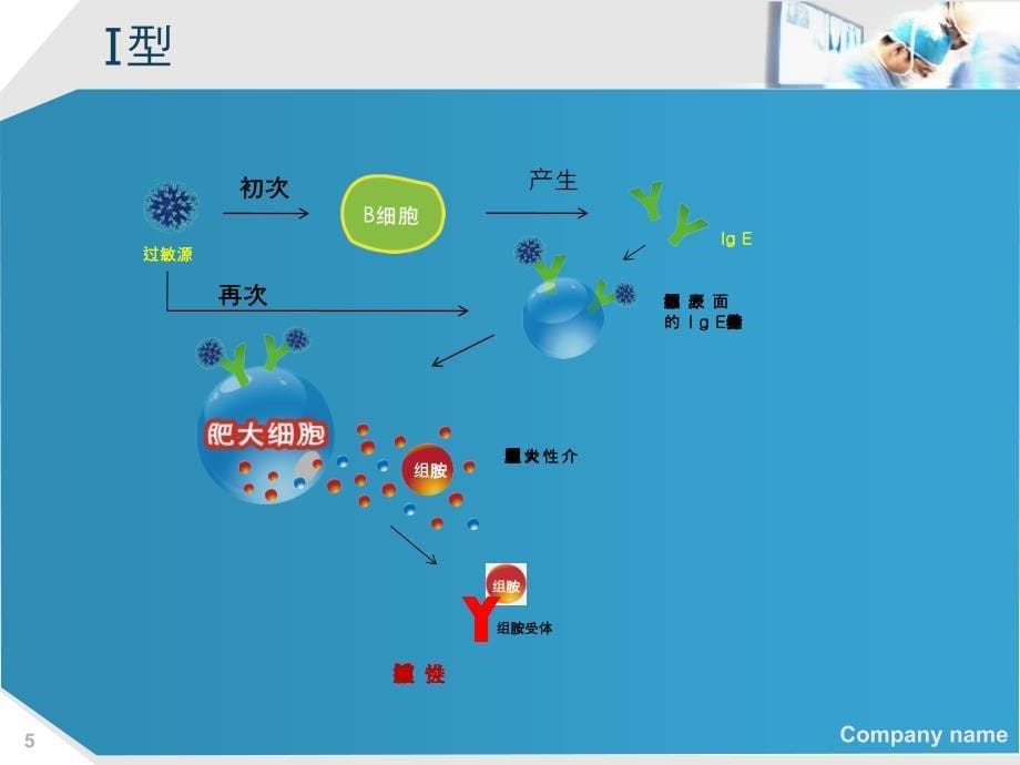 过敏性结膜炎1教学教案_第5页