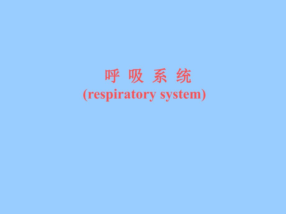 第16章呼吸系统讲义资料_第1页