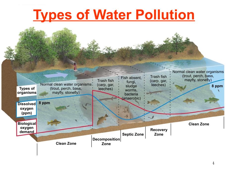 环境概论第9讲水污染课件_第4页