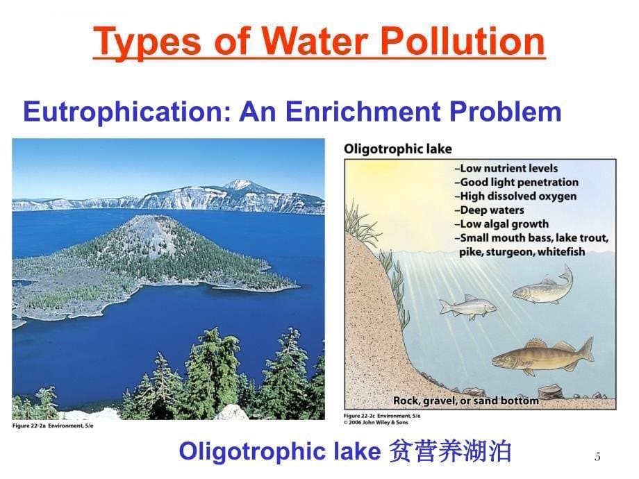 环境概论第9讲水污染课件_第5页