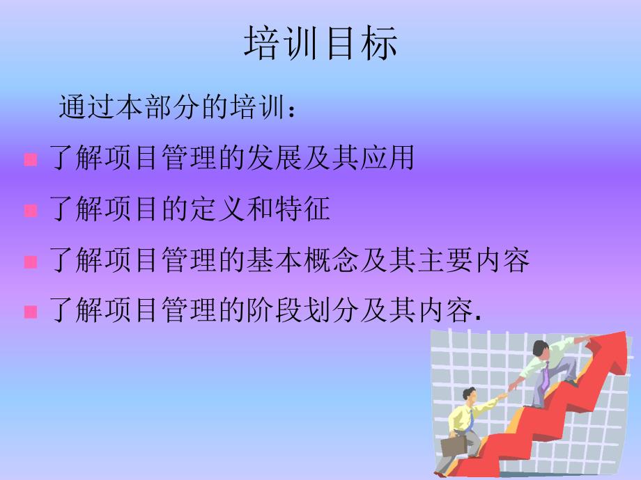 {项目管理项目报告}某公司项目与项目管理讲义_第2页