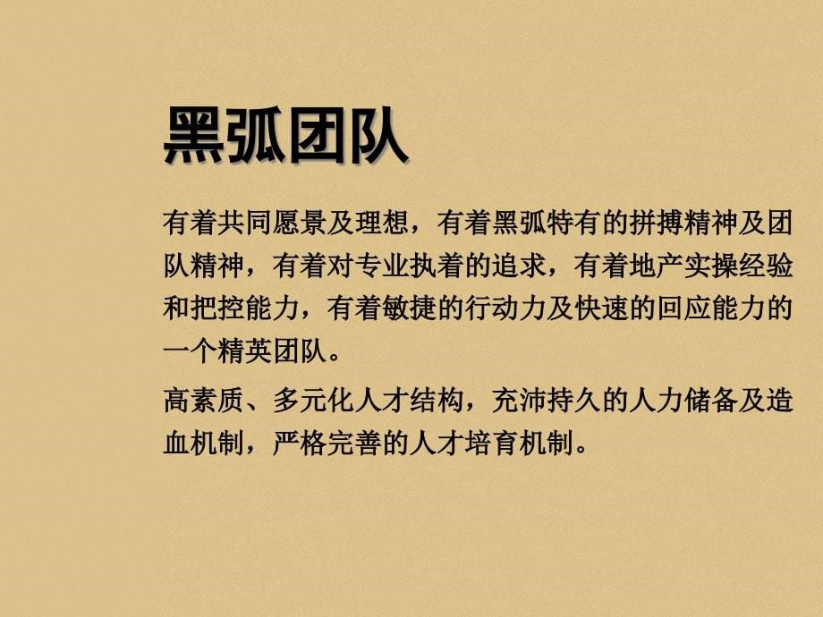 {战略管理}黑弧常州御城项目广告传播策略案_第5页