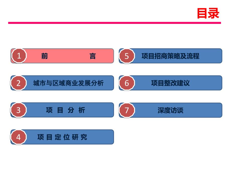 {营销策划方案}某国际皮具城项目定位策划方案_第2页