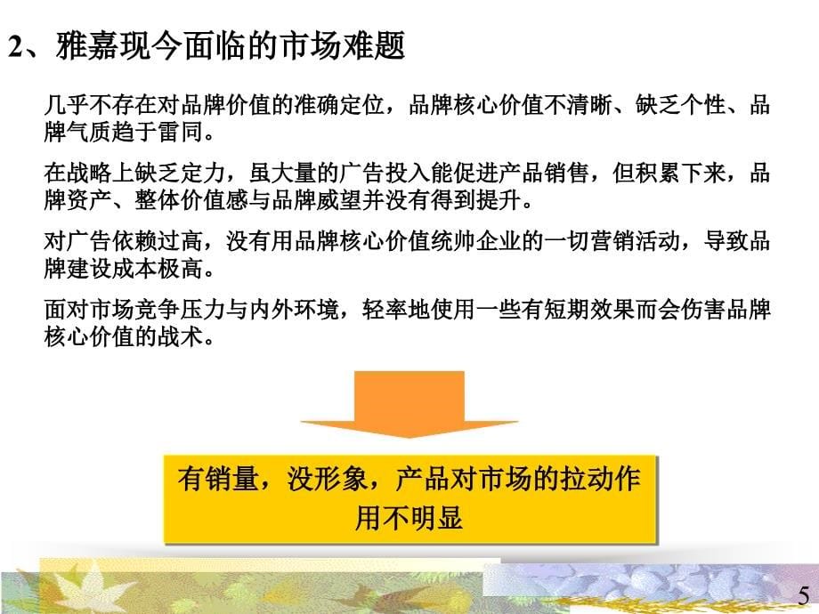 {战略管理}雅嘉品牌整合策略研究报告_第5页