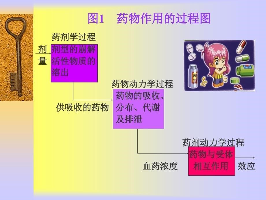 第五章医药数学模型资料教程_第5页