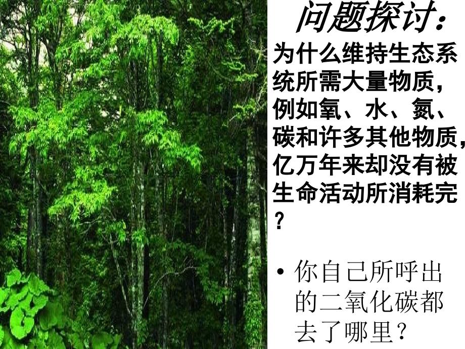 物质循环修改课件_第2页