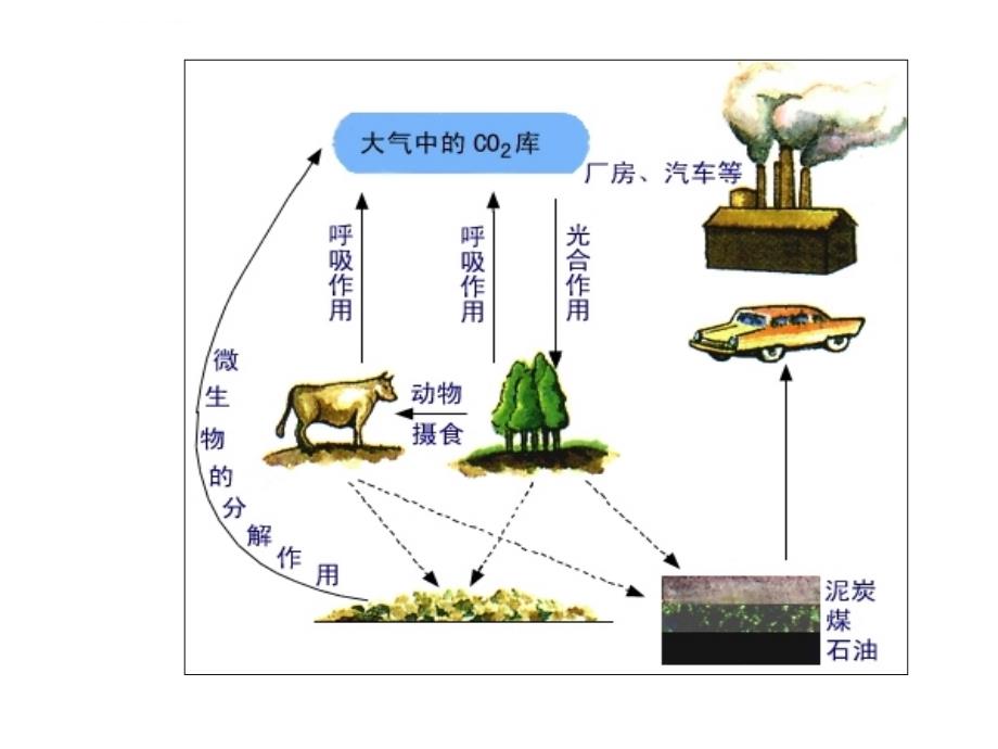 物质循环修改课件_第4页