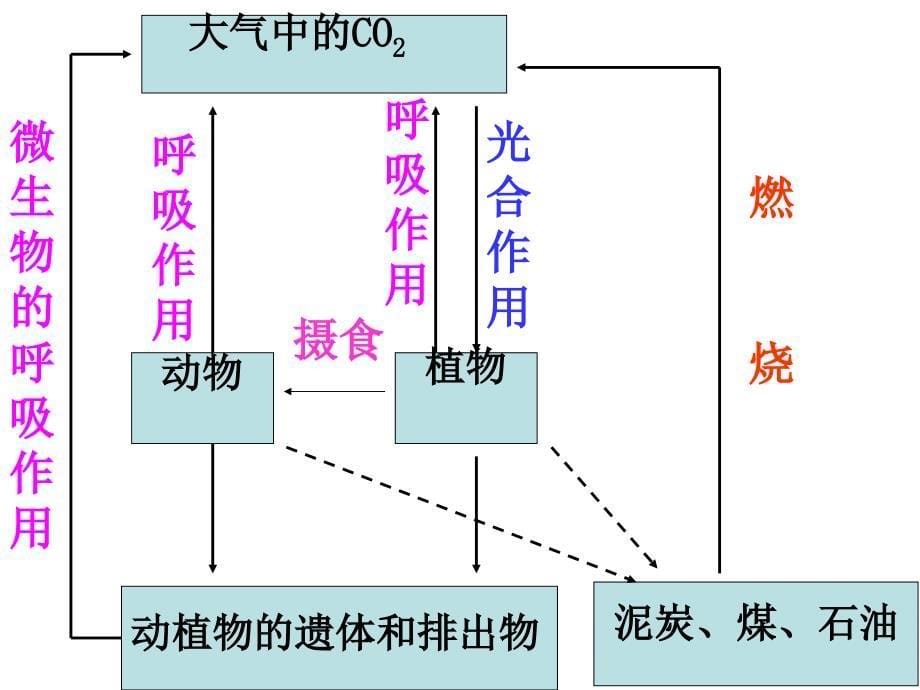 物质循环修改课件_第5页