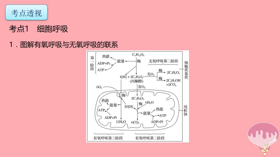 高考生物二轮复习专题2细胞的代谢第2讲光合作用与呼吸作用（1）课件_第2页