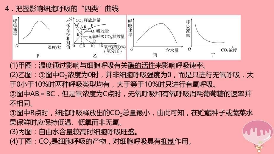 高考生物二轮复习专题2细胞的代谢第2讲光合作用与呼吸作用（1）课件_第5页