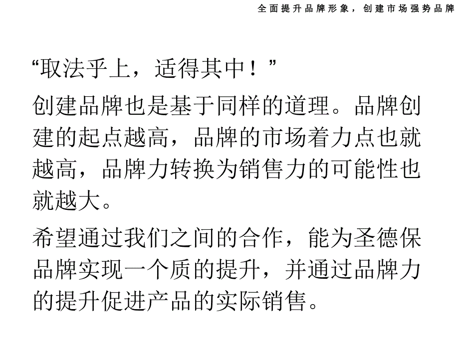 {战略管理}圣得宝品牌提升及传播策略PPT40页_第2页