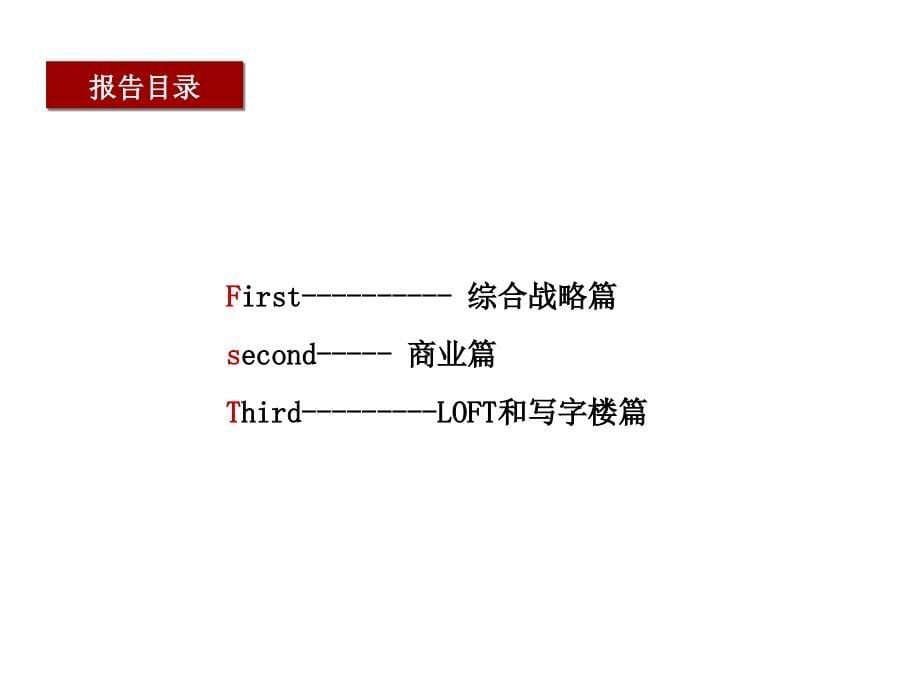 {项目管理项目报告}港龙火车站项目提报最终稿_第5页