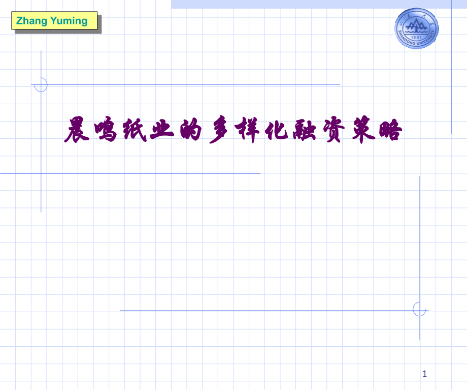 {战略管理}纸业的多样化融资策略_第1页