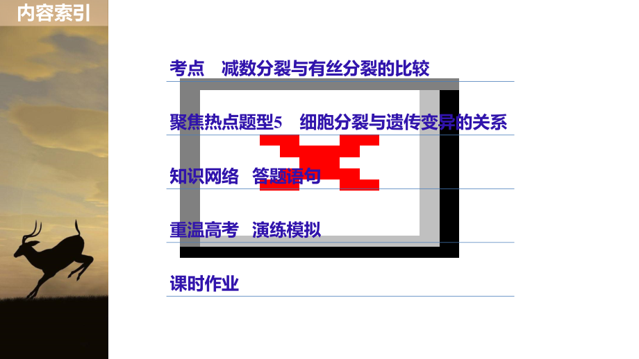 高考生物一轮复习第4单元细胞的生命历程第14讲减数分裂与有丝分裂的比较及应用课件_第3页