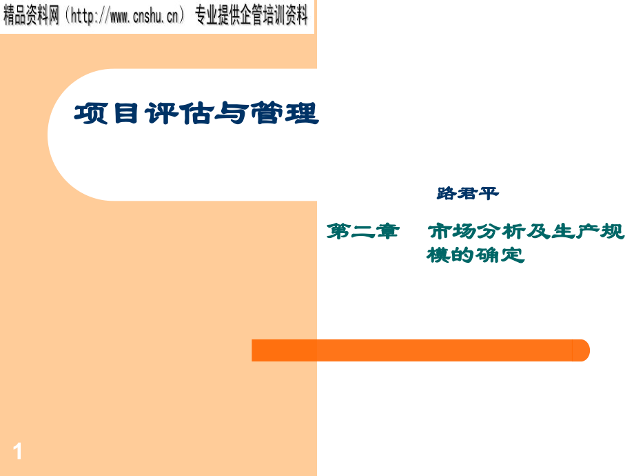 {项目管理项目报告}项目评估与管理第二章_第1页