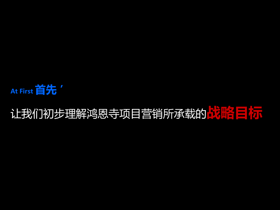 {项目管理项目报告}某项目营销执行细案_第3页