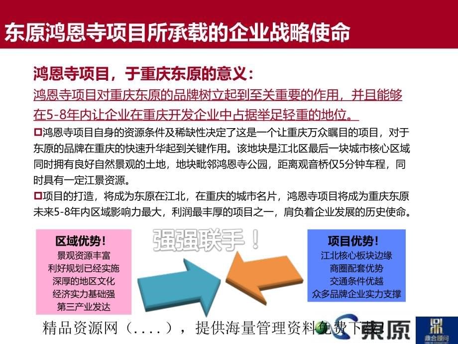 {项目管理项目报告}某项目营销执行细案_第5页