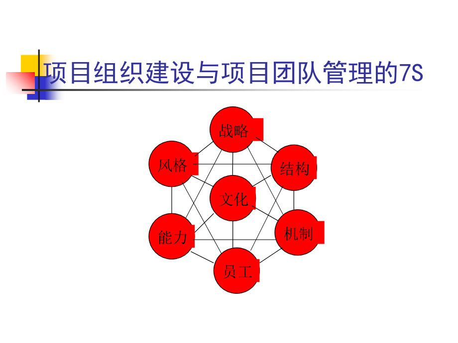 {项目管理项目报告}领导项目管理概述_第4页