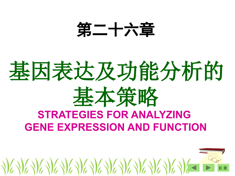 {战略管理}第26章基因表达及功能分析基本策略袁野_第1页