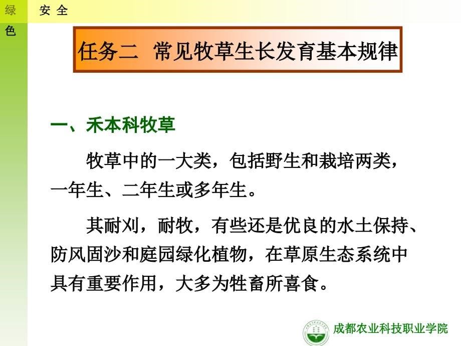 {项目管理项目报告}项目一饲料生产栽培技术_第5页