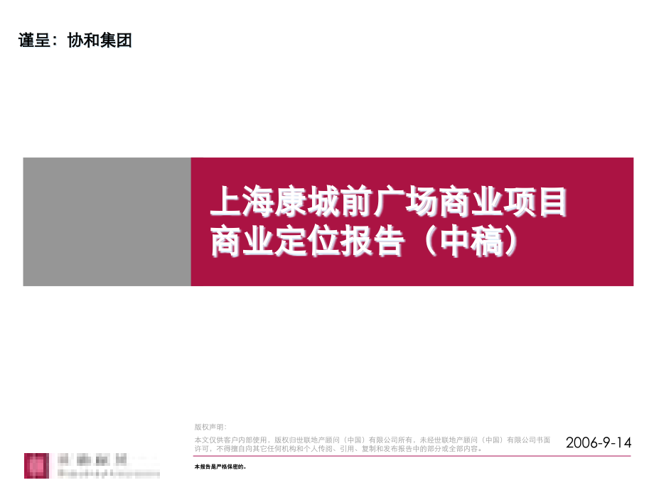 {项目管理项目报告}某广场商业项目商业定位报告_第1页