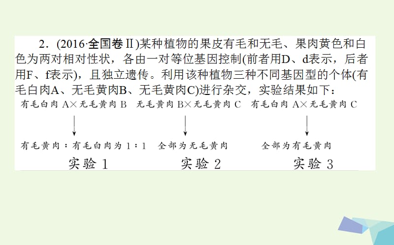 高考生物二轮复习专题八遗传的基本规律和伴性遗传课件_第4页