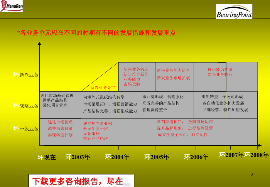 {战略管理}某咨询电器行业各业务单元战略规划方案_第3页