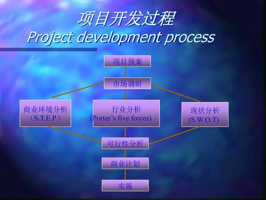 {项目管理项目报告}项目开发过程与投资项目评估_第5页