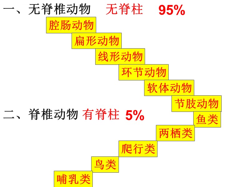 总复习1动物主要类群复习课件_第2页