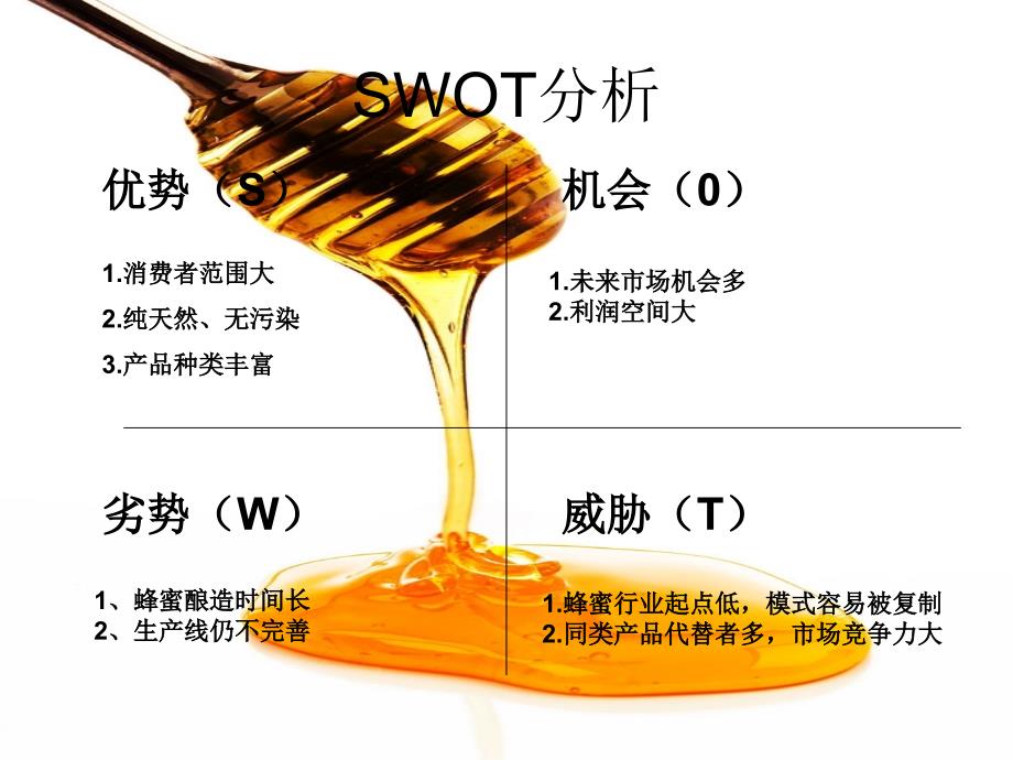 {战略管理}蜂蜜产品策略讲义_第3页