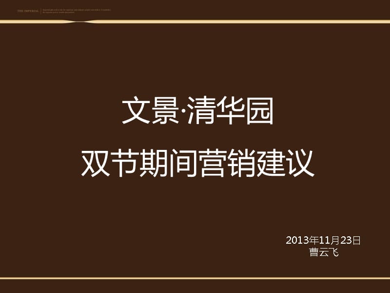 {项目管理项目报告}项目营销建议某某某1123_第1页