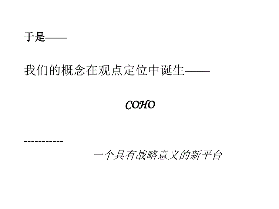 {战略管理}时代COHO商业项目广告策略方案31PPT_第4页