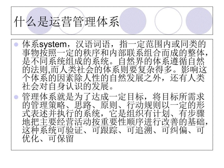 企业运营管理体系教学材料_第5页