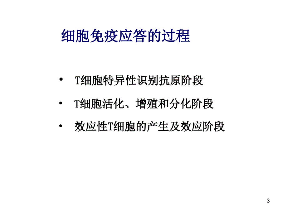 免疫2015课件细胞免疫应答yin知识讲解_第3页