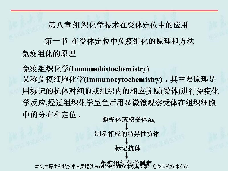 受体研究技术培训教材_第3页