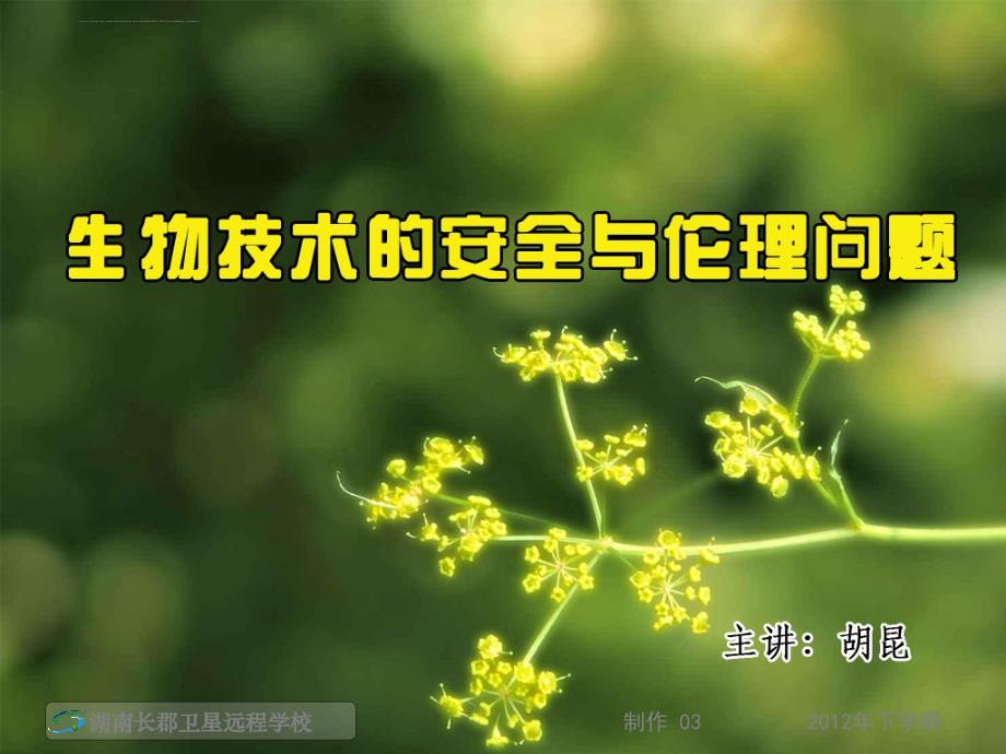 高三生物《生物技术的安全与伦理问题与生态工程的基本原理》课件_第1页