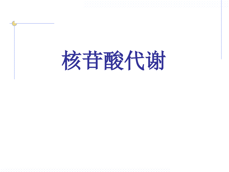 生物化学核酸代谢与蛋白质生物合成1讲义资料_第2页