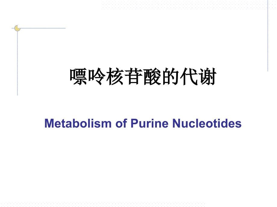 生物化学核酸代谢与蛋白质生物合成1讲义资料_第5页