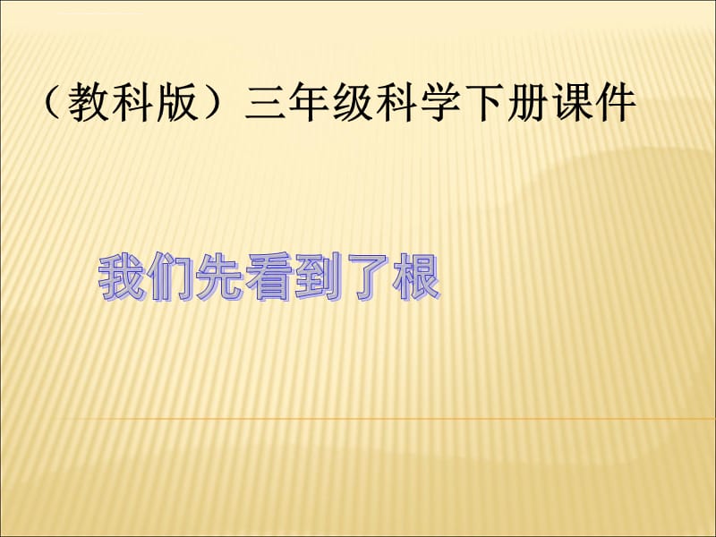 （教科版）三年级科学下册课件 我们先看到了根_第1页