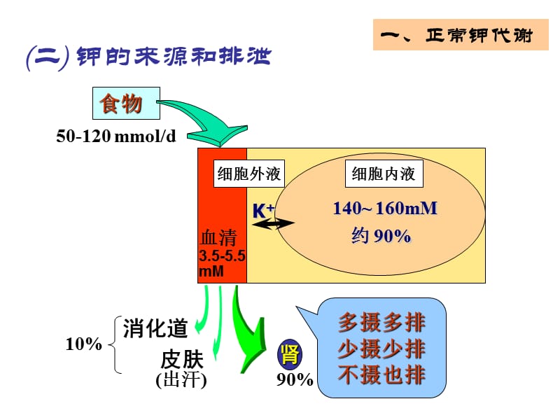 第三章（2节）钾代谢障碍2012临床本科课件_第3页