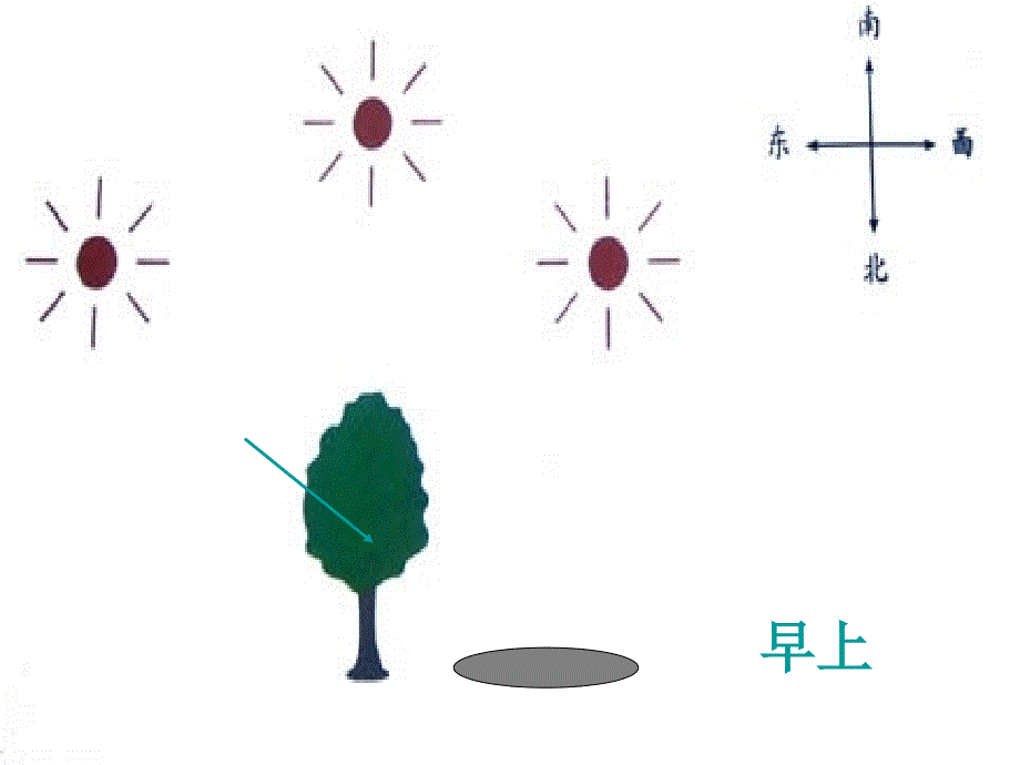 阳光下的影子 ppt课件_第4页